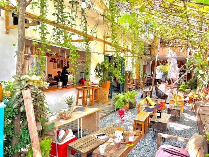 cay-leo-giup-thu-gian