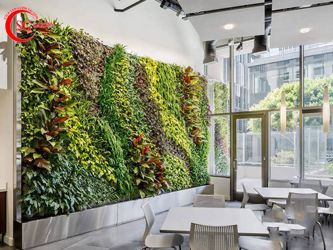 tuong-cay-thang-dung-doc-dao