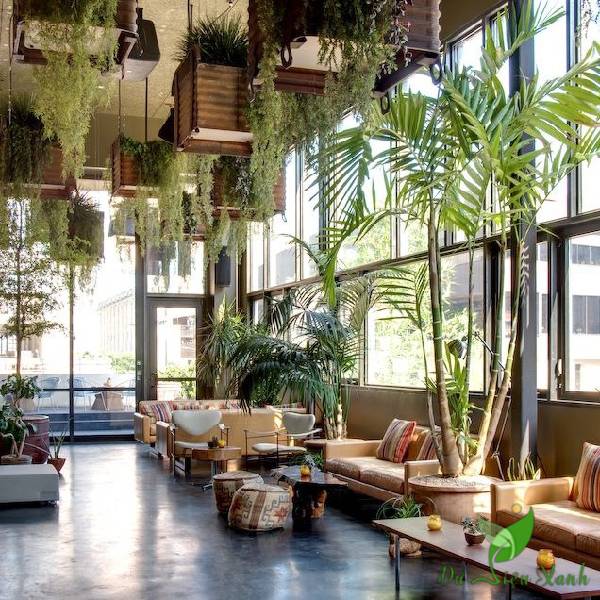 cay-xanh-do-trang-tri-quan-cafe-30m2