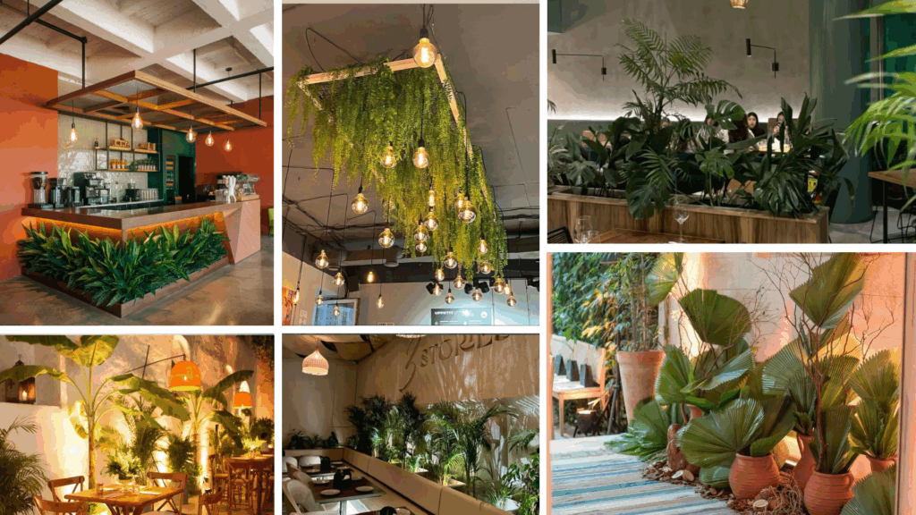 Bo-tri-cay-xanh-quan-cafe-thong-minh-cay-treo-bon-cay-vbm